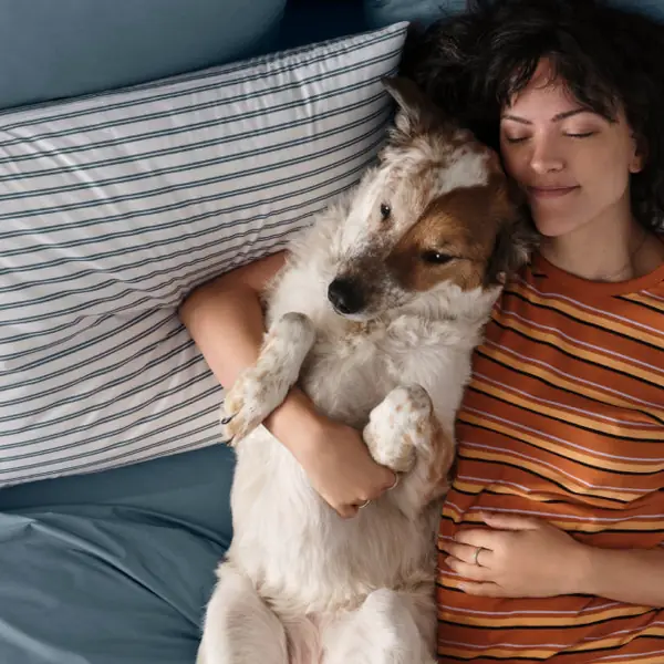 Brooklinen sheets